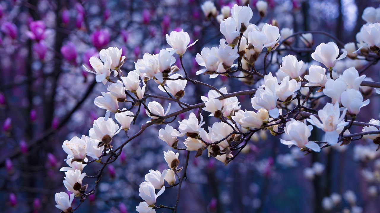 Photography images 5